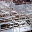 Sandwell-3